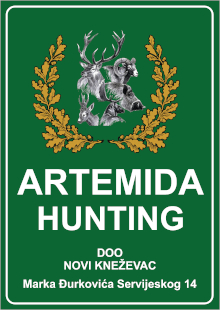 Artemida Hunting